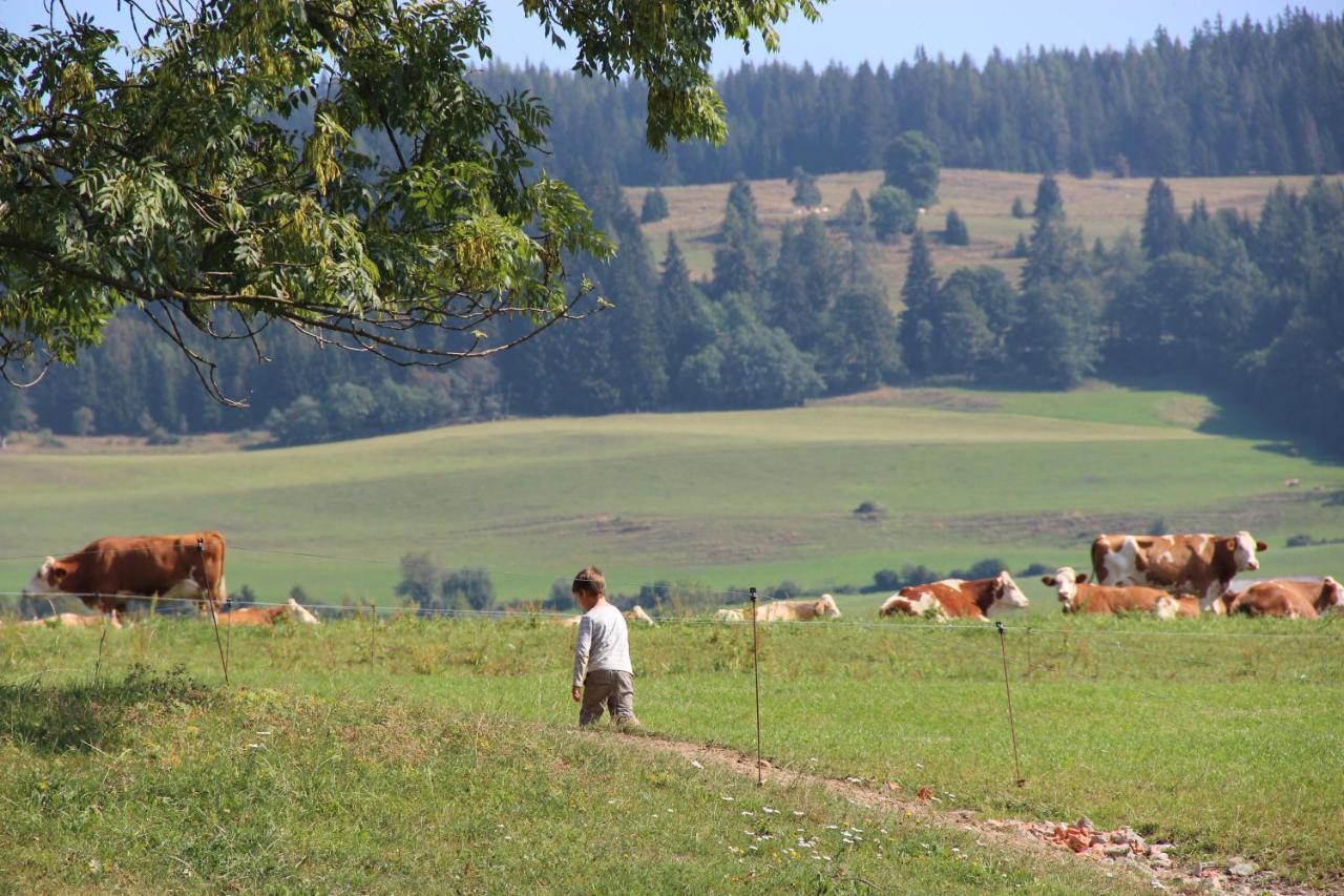 Naturpark Bauernhof Sperl Mariahof Exterior foto